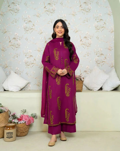 Noory Long Length Embroidered - 2 Piece Stitched